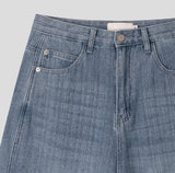 Miz Wide Stripe Denim Pants