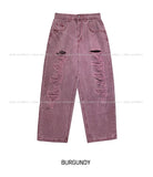 Logan Destroyed Pig Denim Pants