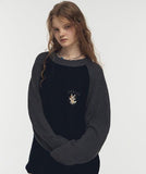 Hoppy Raglan Block Knit