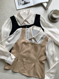 Harienne color matching blouse