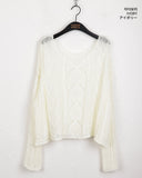 Api Wav Punching See-Through Rib Neck Long Sleeve Knit