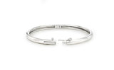 [Premium Plating] Truvion AB Bangle