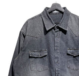 Flood cat brush western denim shirt