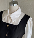 Harienne color matching blouse
