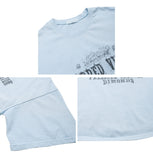 Dia Graphic Pigment Short Sleeve Tee