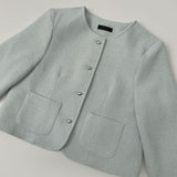 Tweed Round Silver Button Jacket
