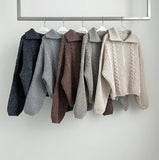 Cable Lulu Two-Way Loose Fit Knit Zip-Up