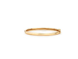 [Premium Plating] Truvion AB Bangle