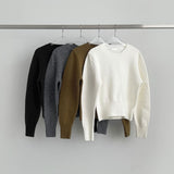 Basic Mid Season Semi Crop Knit