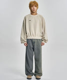 Vintage Panel Cropped Sweatshirt