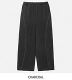 pigment line wide banding pants