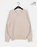 [Wool 10] Dabur Lambs Wool V-neck Knit