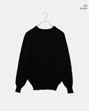 Shus Basic V-Neck Loose Fit Long Sleeve Knit