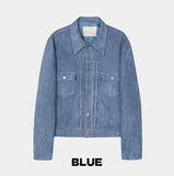 Brook Suede Trucker Jacket