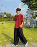 Art nylon balloon pants