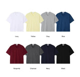 LT V-neck Regular Short Sleeve T-shirt