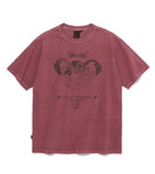 Distorted pigment TEE