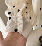 Poche Dot Velvet Tie Brushed Blouse