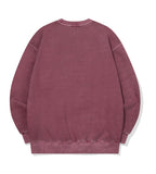 Hound Charm Pigment Sweatshirt