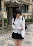 Setter Pleated Mini Skirt