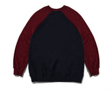 Potential Raglan Sweatshirt