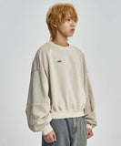 Vintage Panel Cropped Sweatshirt