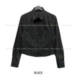 Anton Standard Check Shirt