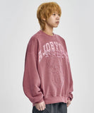 Rare University Washed Sweatshirt