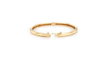 [Premium Plating] Truvion AB Bangle