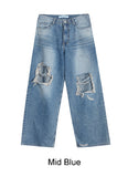 Rayfen Damage Denim Pants