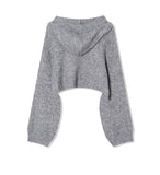 Fran Soft Wool Crop Knit Hoodie