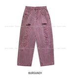 Logan Destroyed Pig Denim Pants