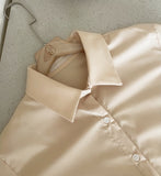 [NO Wrinkles] Lupin Basic Span Shirt