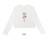 STRAWBERRY CROP T