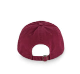 Alt Washed Embroidered Camp Cap