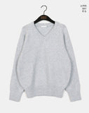 [Wool 10] Dabur Lambs Wool V-neck Knit