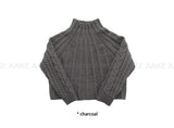 (WOOL) CABLE HIGH-NECK KNIT