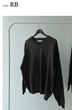 Blue Bird Overfit V-Neck Knit