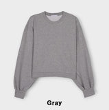 Plain Color Crop Sweatshirt