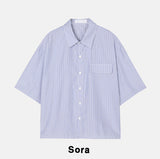 Holden Stripe Crop Shirt