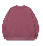 Petit Lily Raglan Pigment Sweatshirt