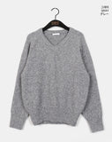 [Wool 10] Dabur Lambs Wool V-neck Knit