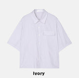 Holden Stripe Crop Shirt
