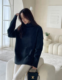 Lalad Plain Turtleneck Knit
