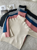 Lalad Plain Turtleneck Knit