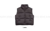 (Duck Down) FROST PADDING VEST