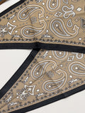 Paisley color matching scarf