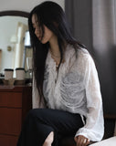 Sarien See-Through Blouse