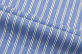 Sage Blue Stripe Shirt
