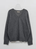 Demure V-neck Raglan Knit